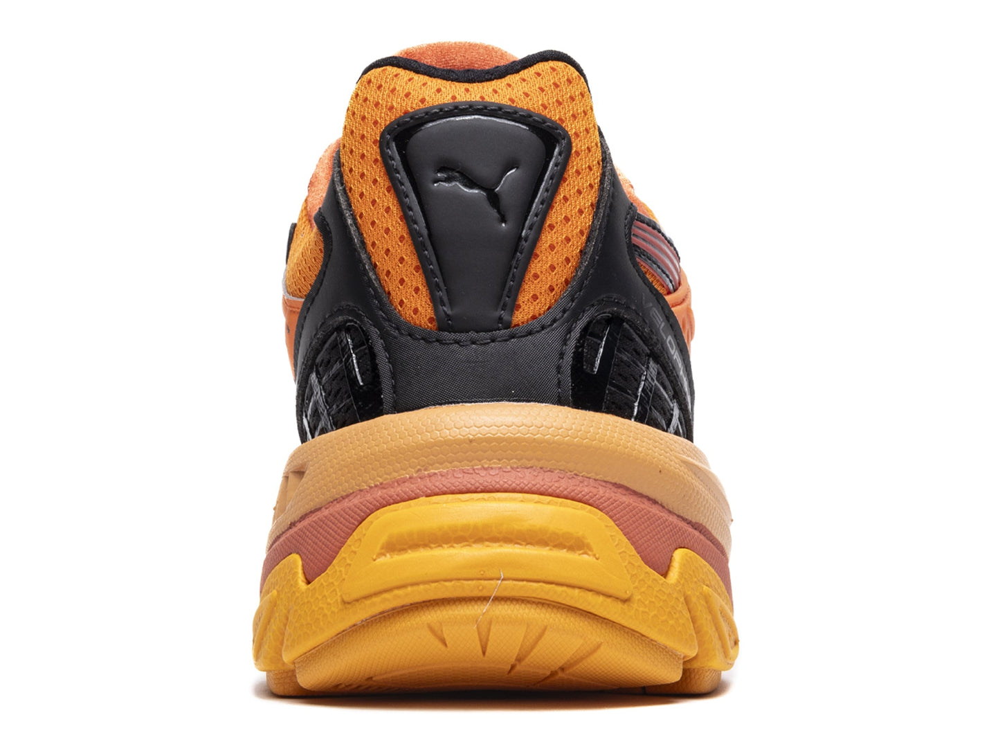 studio-shot-v9-71961