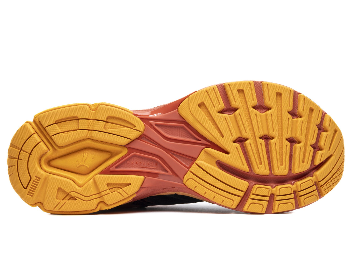 studio-shot-v9-53049