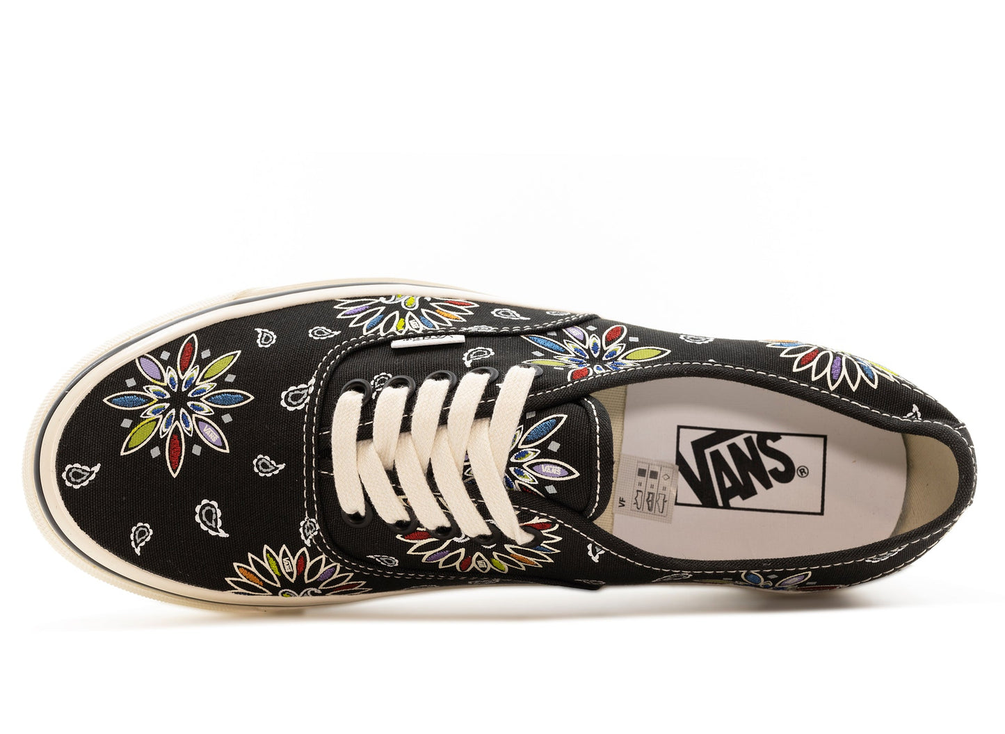 studio-shot-v9-43516