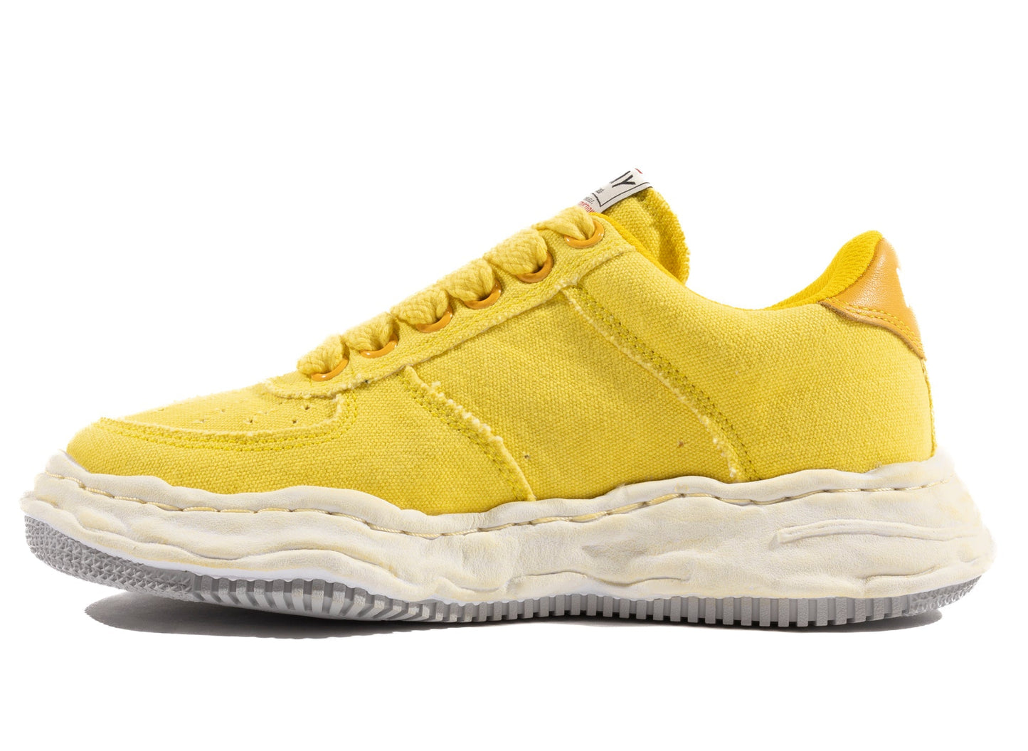 studio-shot-v9-74681