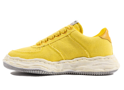 studio-shot-v9-74681