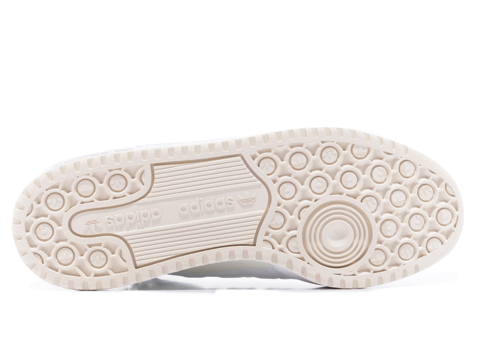 studio-shot-v9-98807