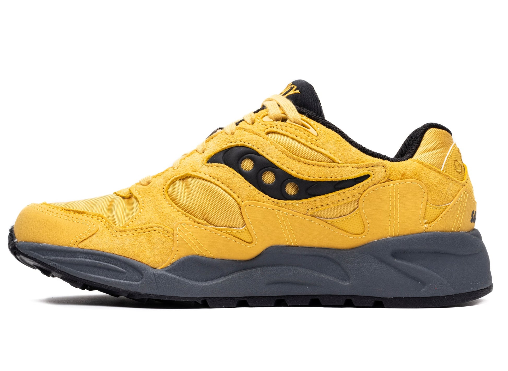 studio-shot-v9-52968