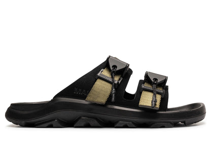 studio-shot-v9-73645