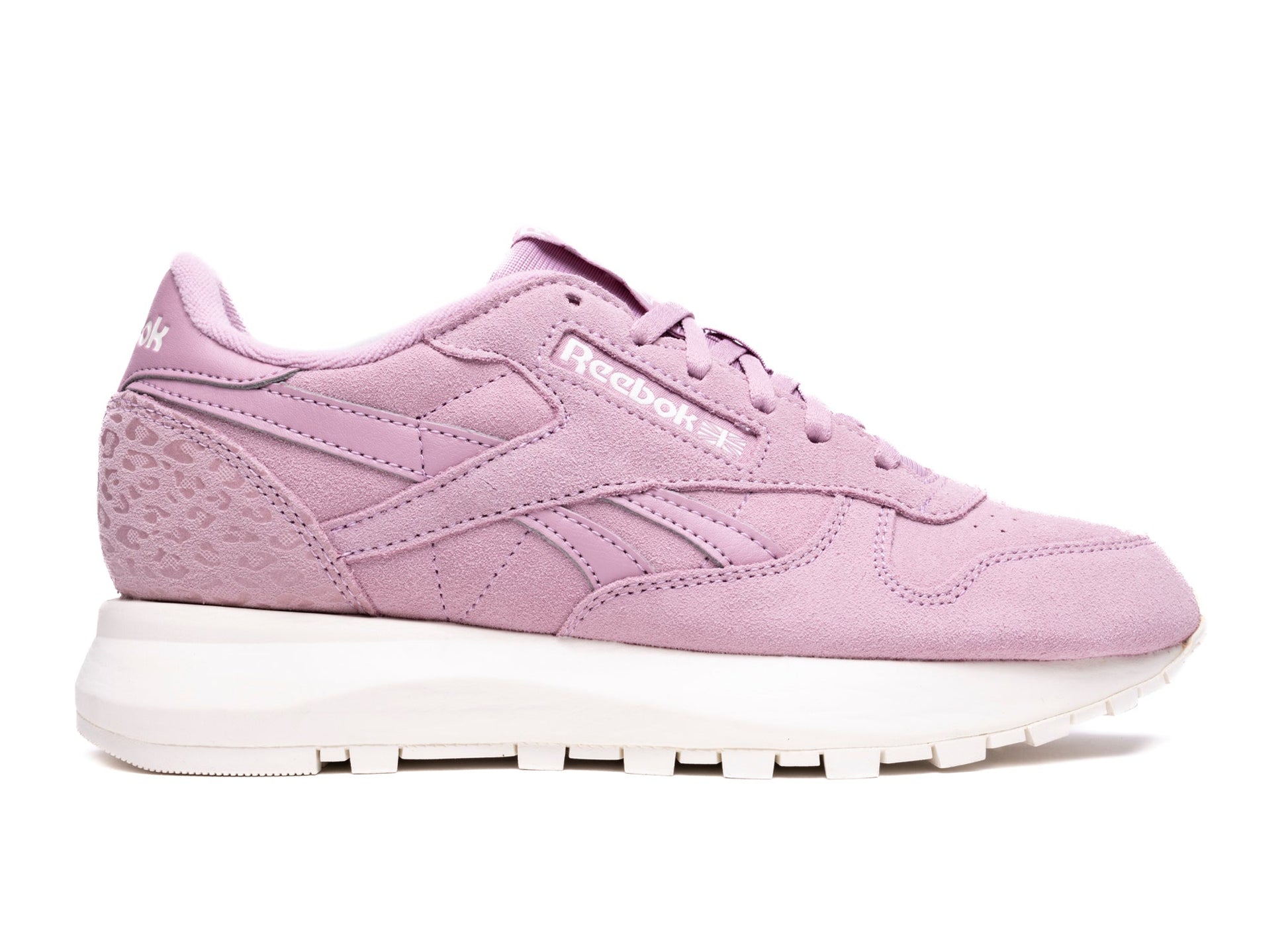 studio-shot-v9-62238