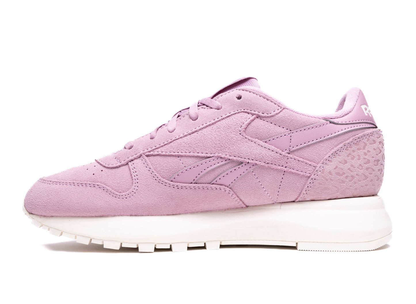 studio-shot-v9-42543