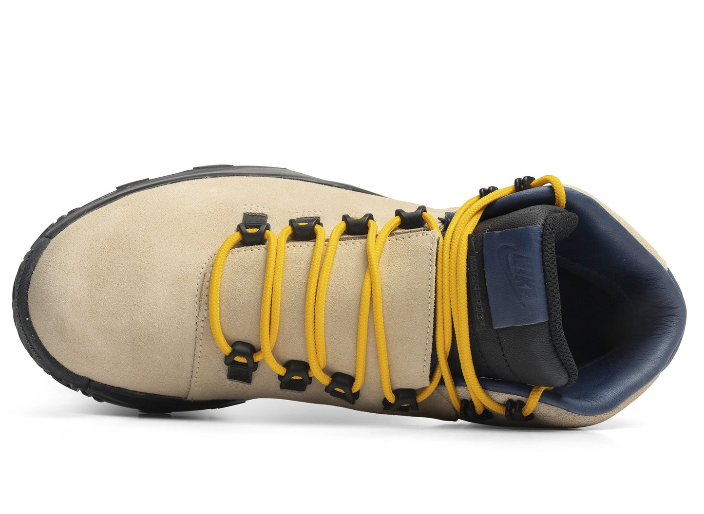 studio-shot-v9-92473