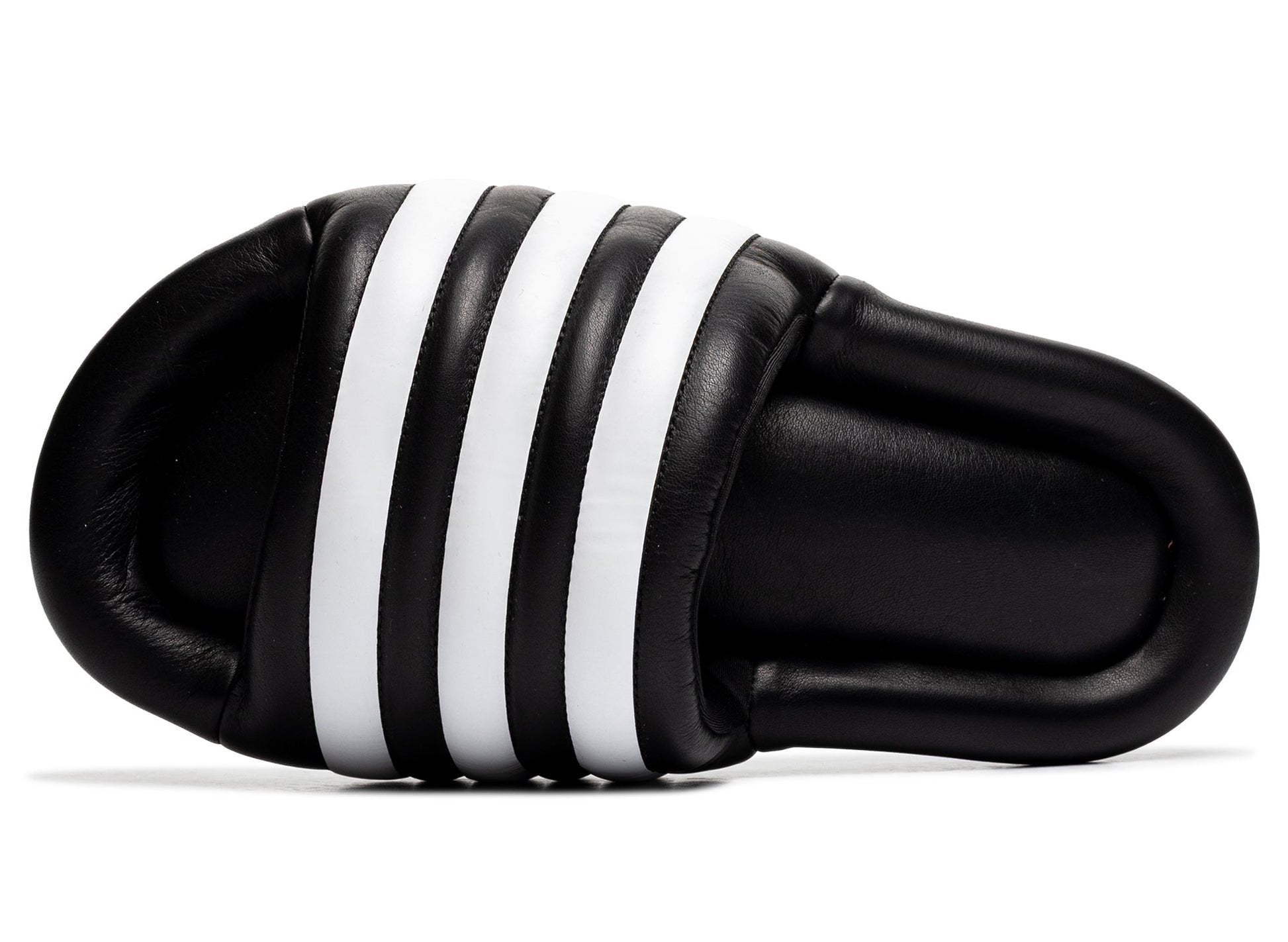 studio-shot-v9-95880