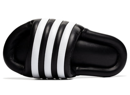 studio-shot-v9-95880