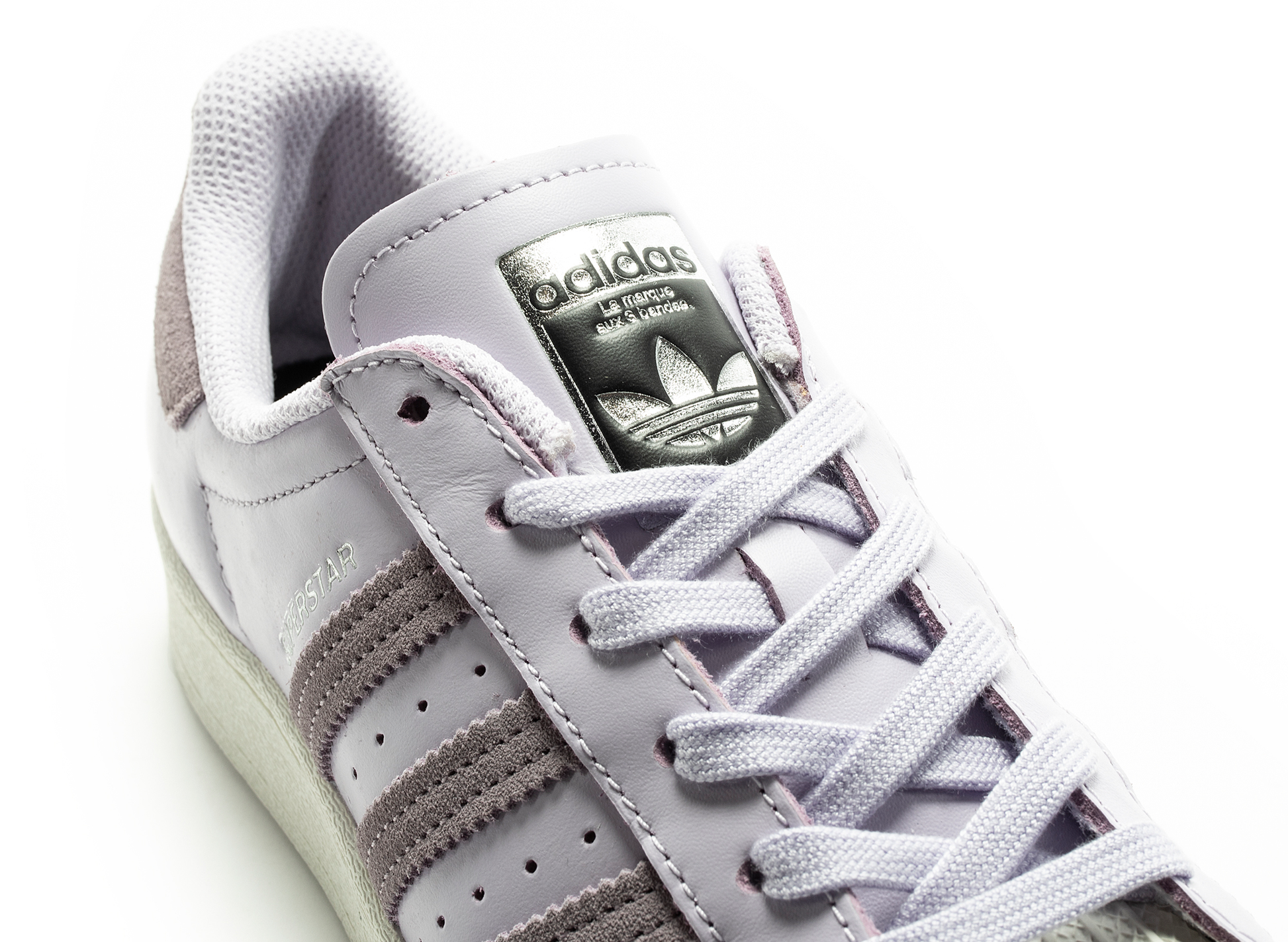 studio-shot-v9-65414