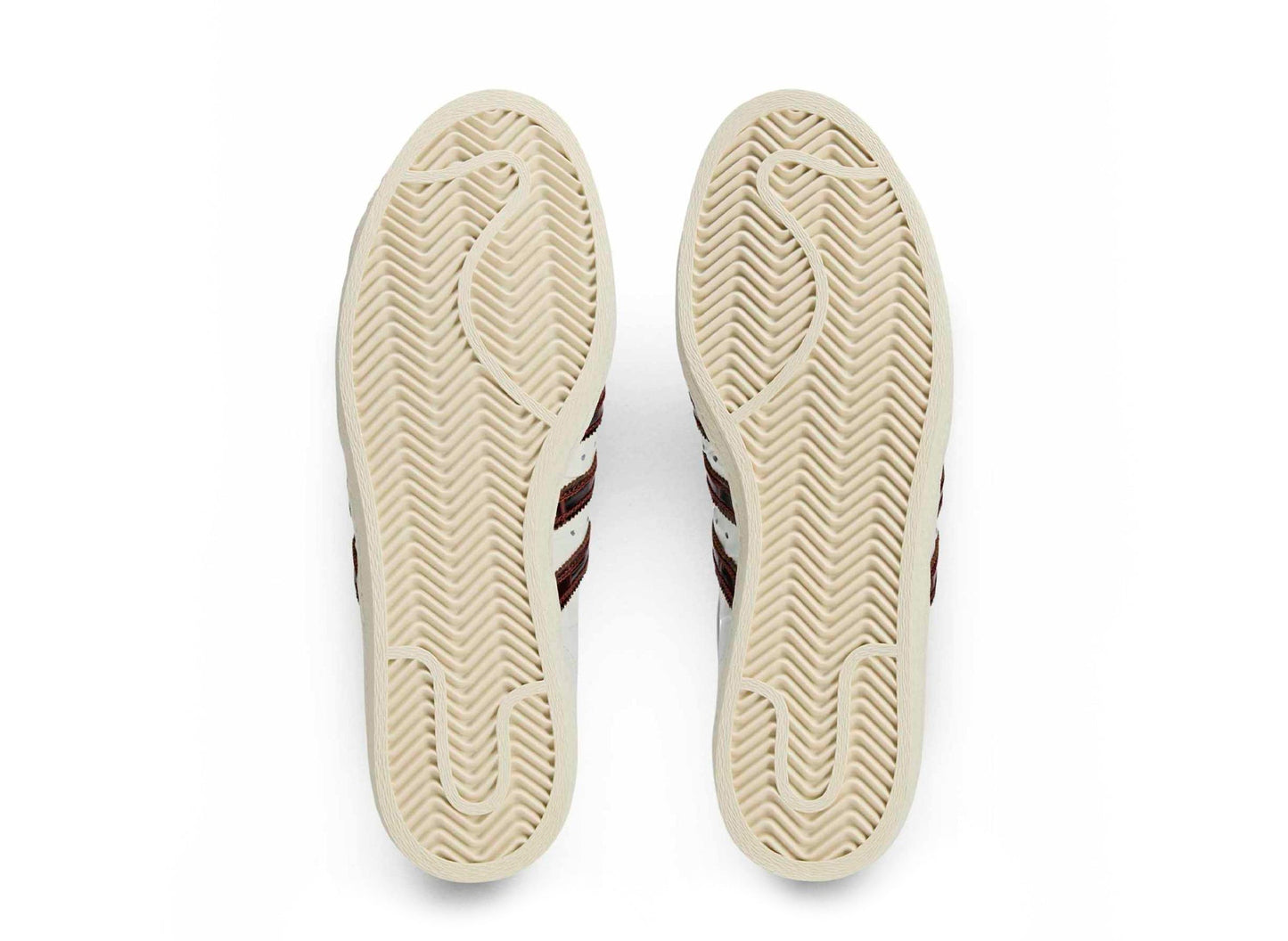 studio-shot-v9-93716