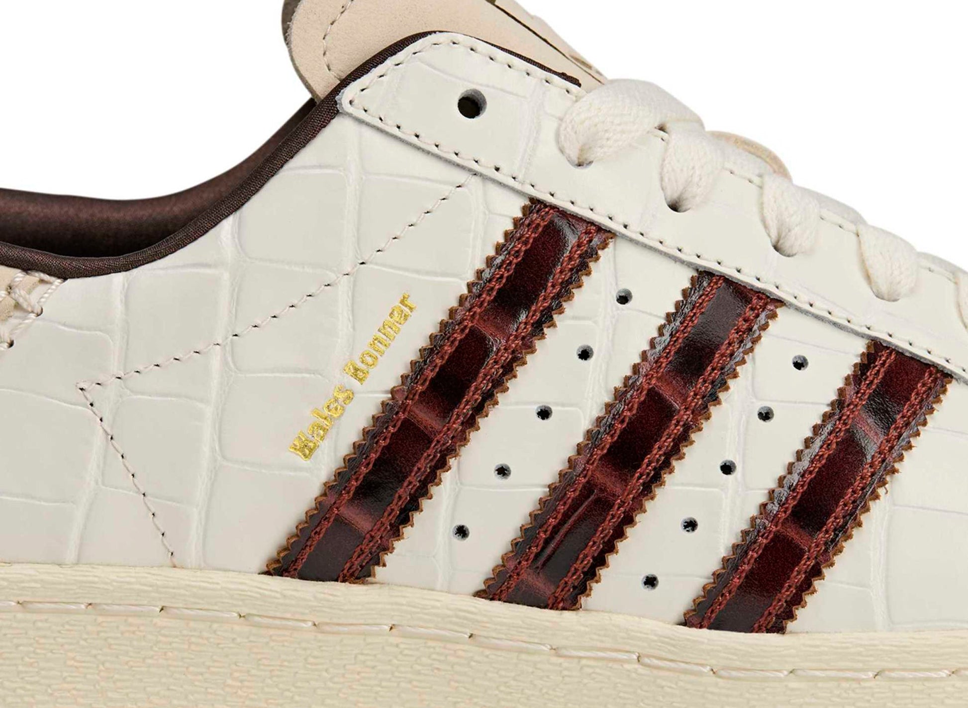 studio-shot-v9-24987