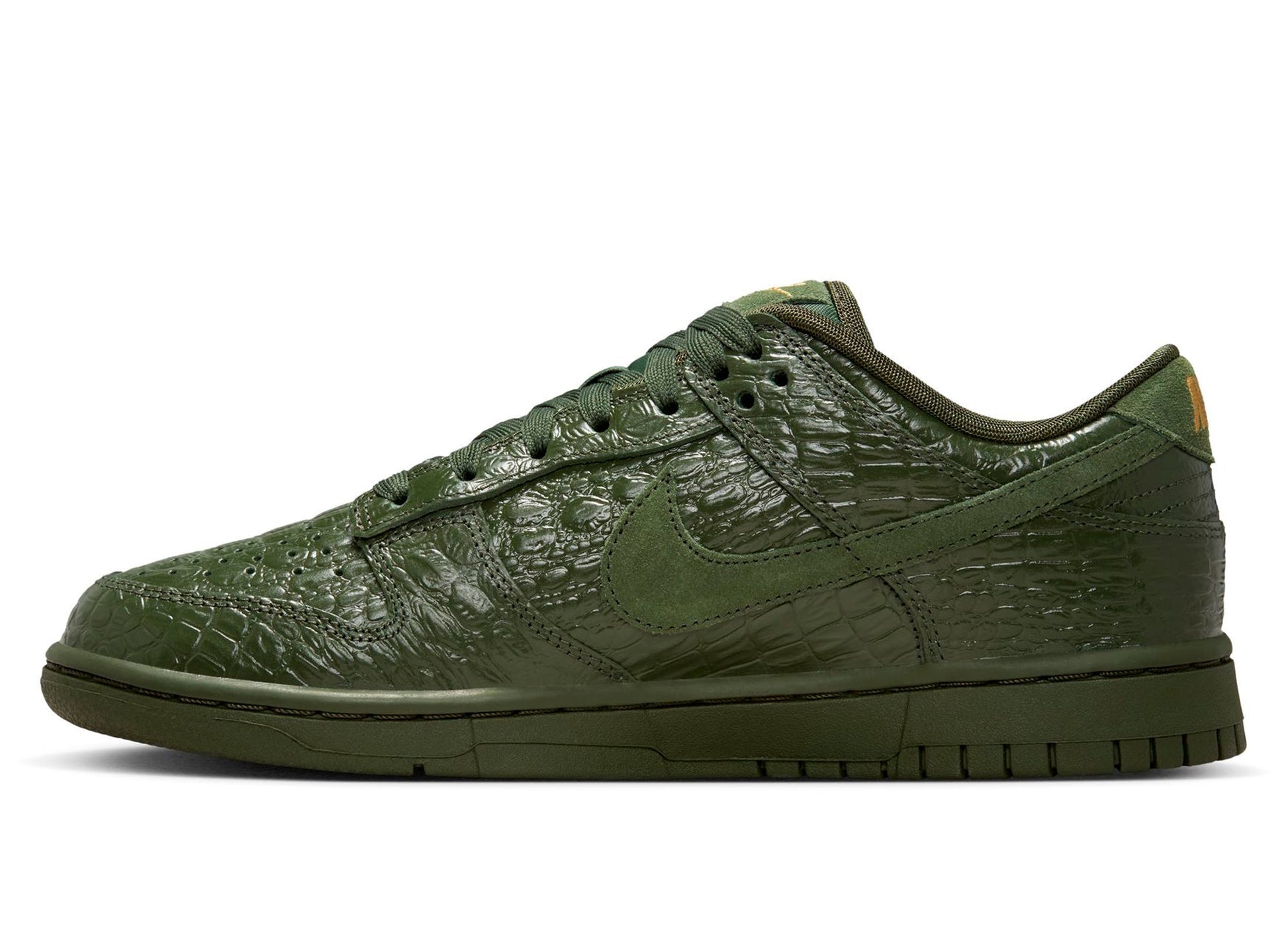 studio-shot-v9-54353