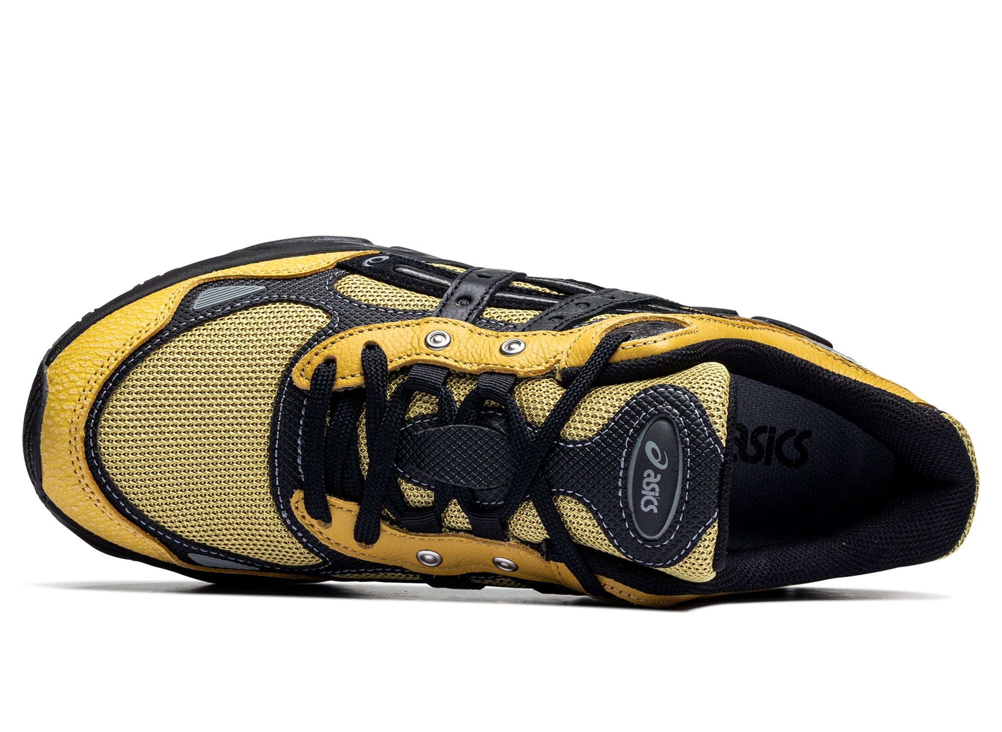 studio-shot-v9-63445