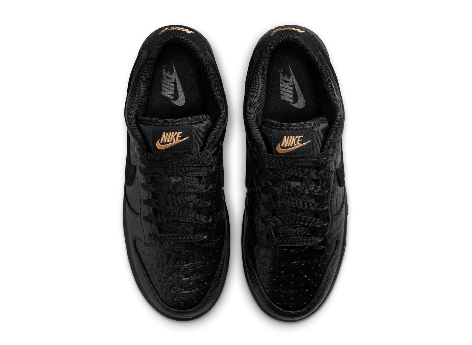 studio-shot-v9-73025