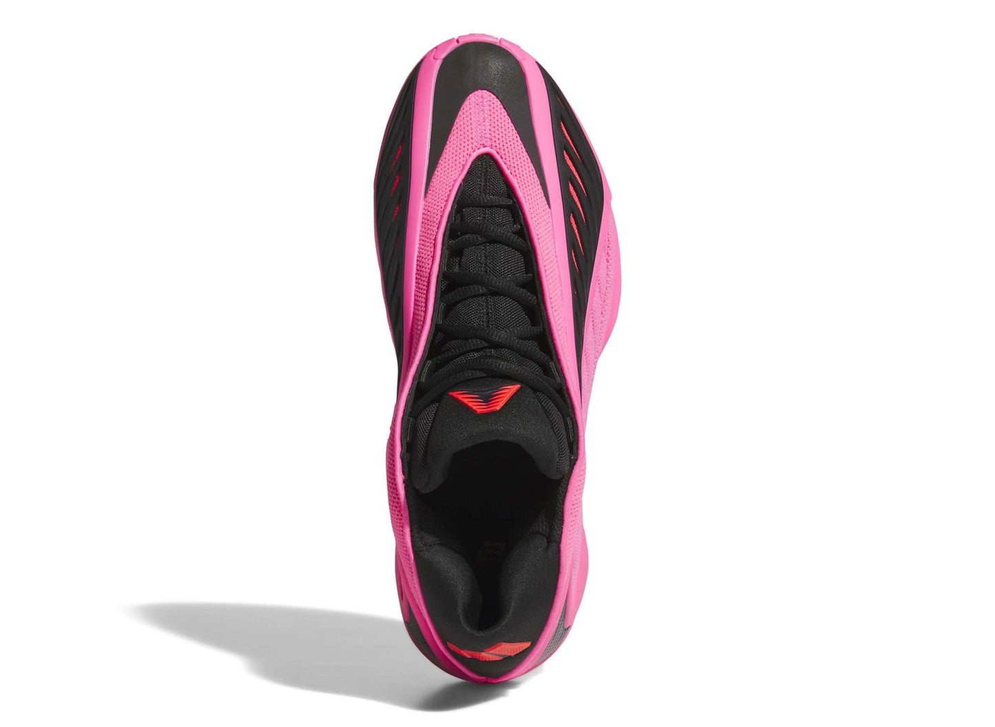 studio-shot-v9-78077