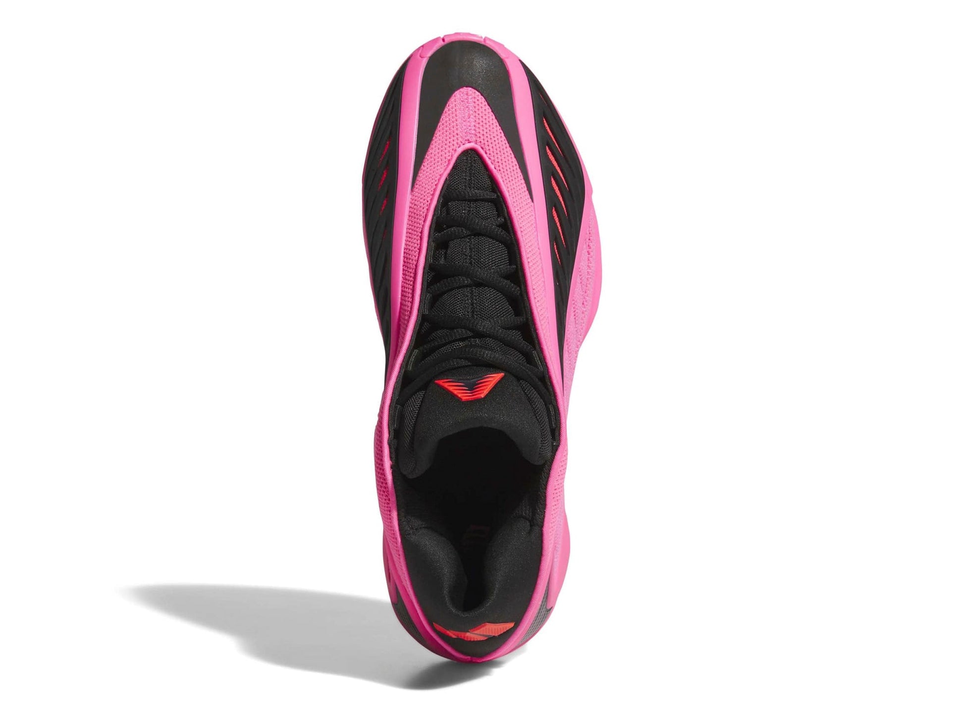 studio-shot-v9-78077