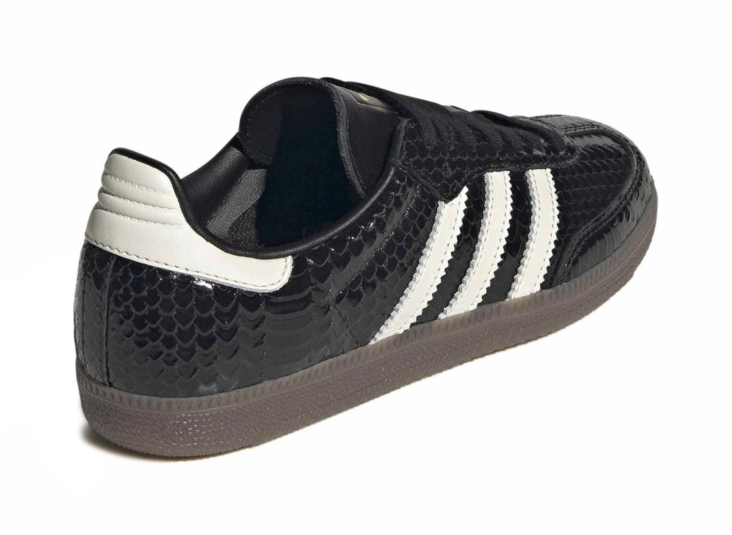 studio-shot-v9-60997