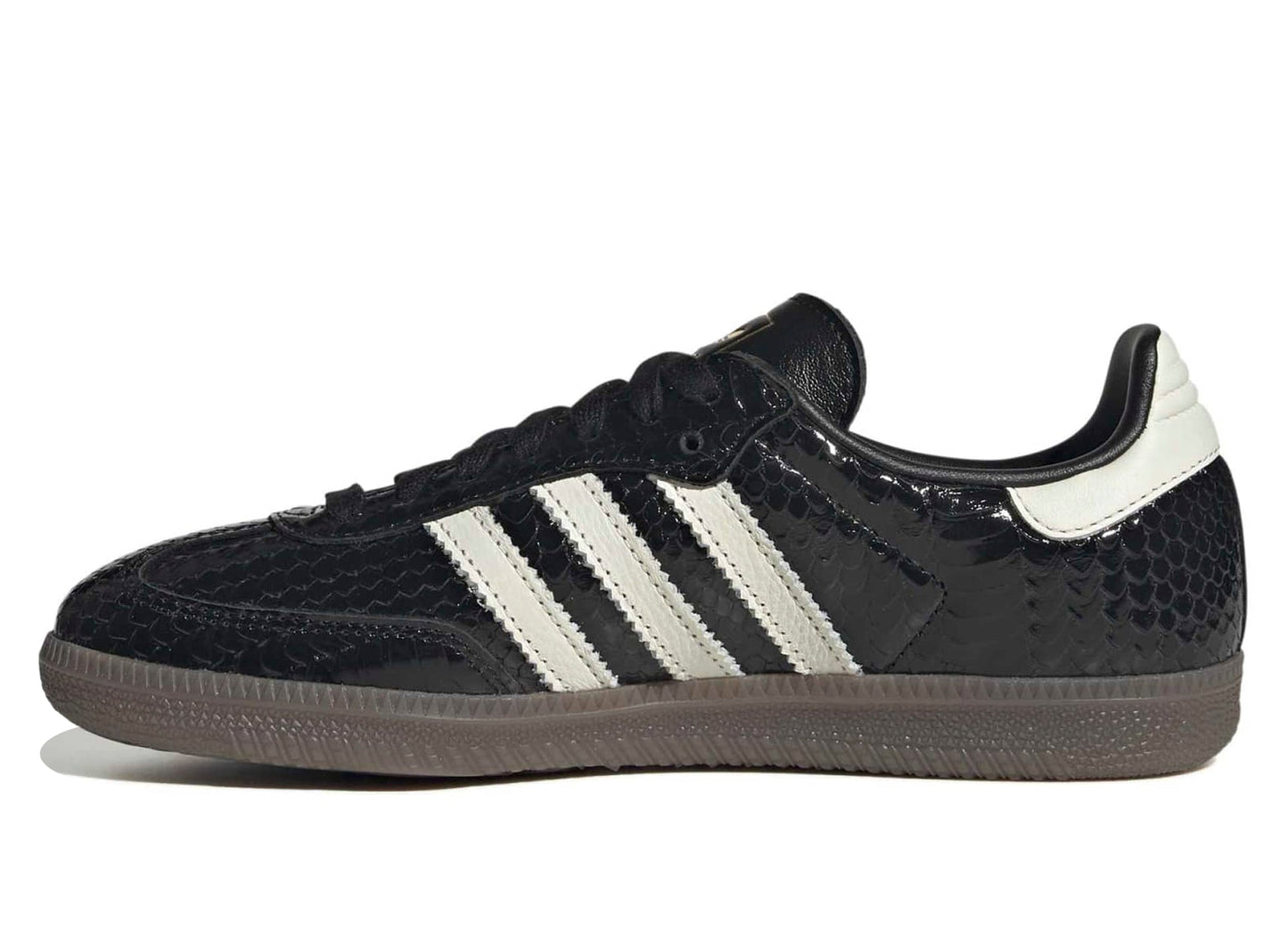 studio-shot-v9-92965