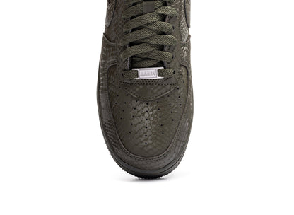 studio-shot-v9-38624