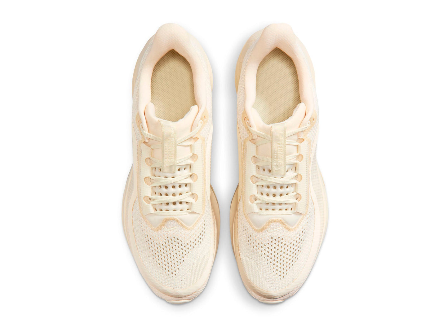 studio-shot-v9-74277